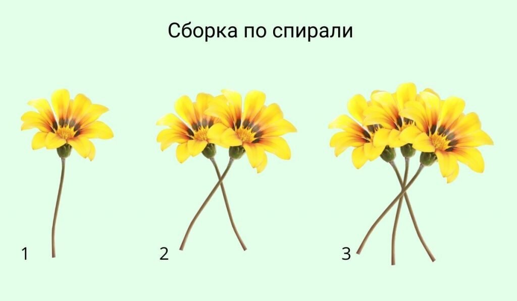 Как сделать букет роз? | Цветы