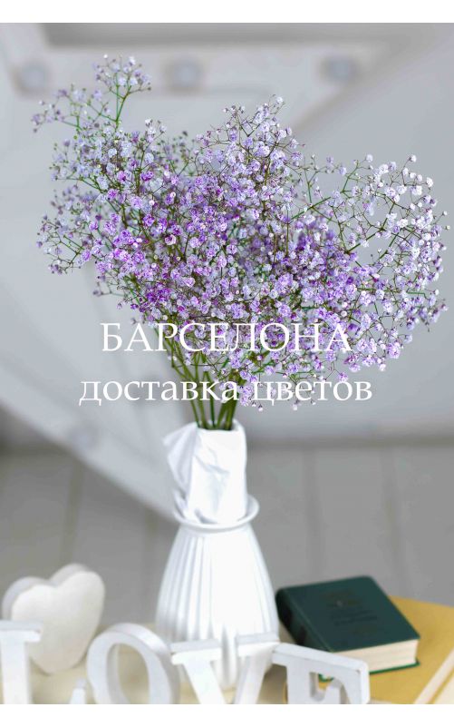 Сухоцветы: виды и идеи для букетов - Flowers.ua