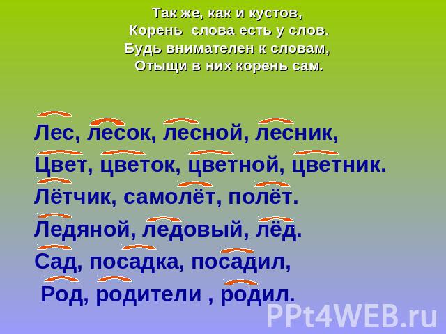 Мы расскажем все о цветах в энциклопедии цветов