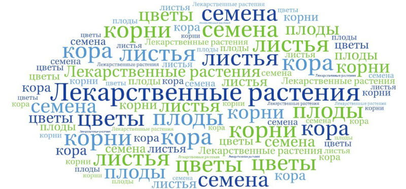 Лекарственные растения и травы Украины: изучение и применение ...