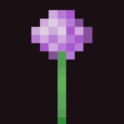 allium minecraft items