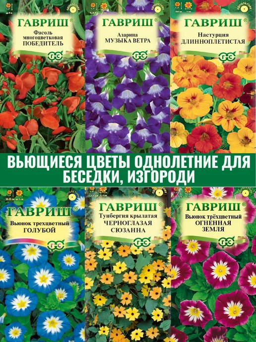 Конспект НОД по рисованию «Удивительные цветы» в технике ...