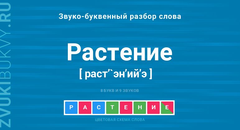 Фонетический разбор слова ЦВЕТОК — звуко буквенный анализ