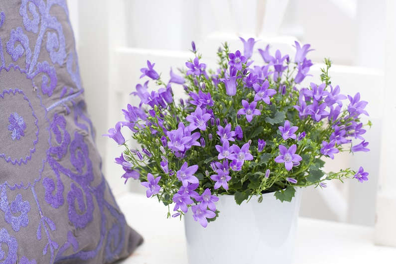 Artificial campanula - купить недорого | AliExpress