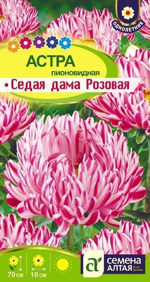 Семена цветов Астра «Седая Дама» - купить по оптовой цене!