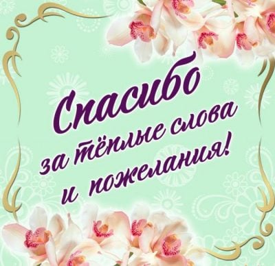 Слова благодарности: 210 фраз благодарности за добро