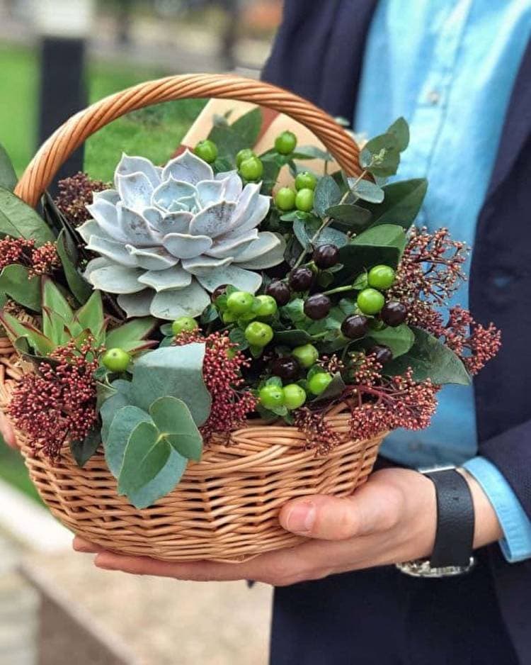 Свадебный букет невесты с суккулентами ...