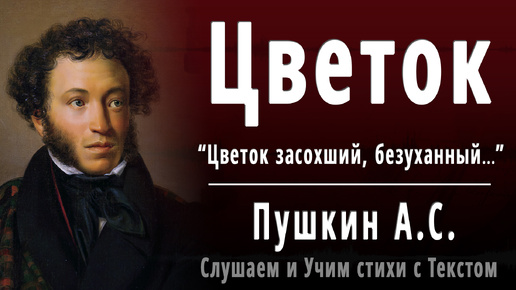 Заботливый цветок - Константин Паустовский, читать онлайн