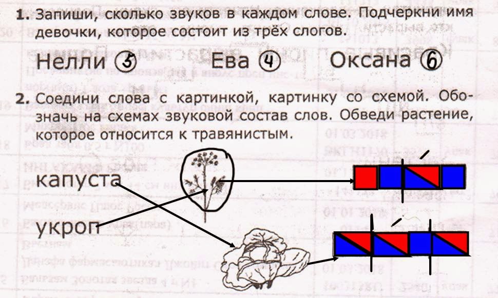 Звуковая схема слова 