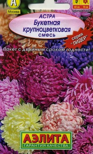 Астра смесь Букетная Agromaksi от интернет-магазина 