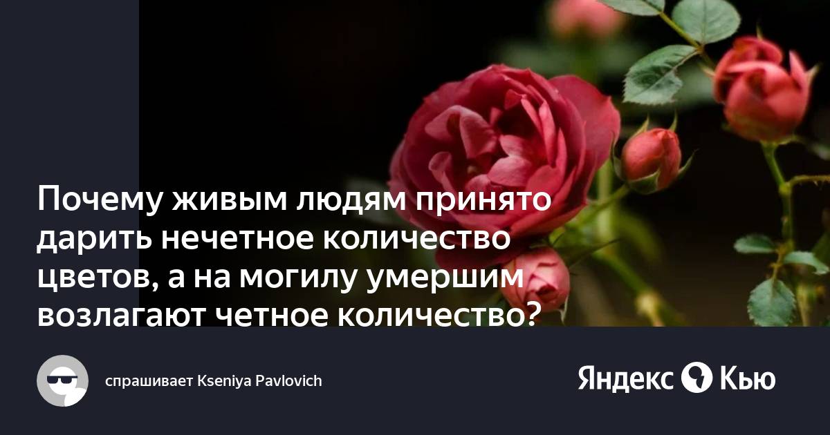 Количество цветов в букете: сколько правильно дарить – FLOWRY