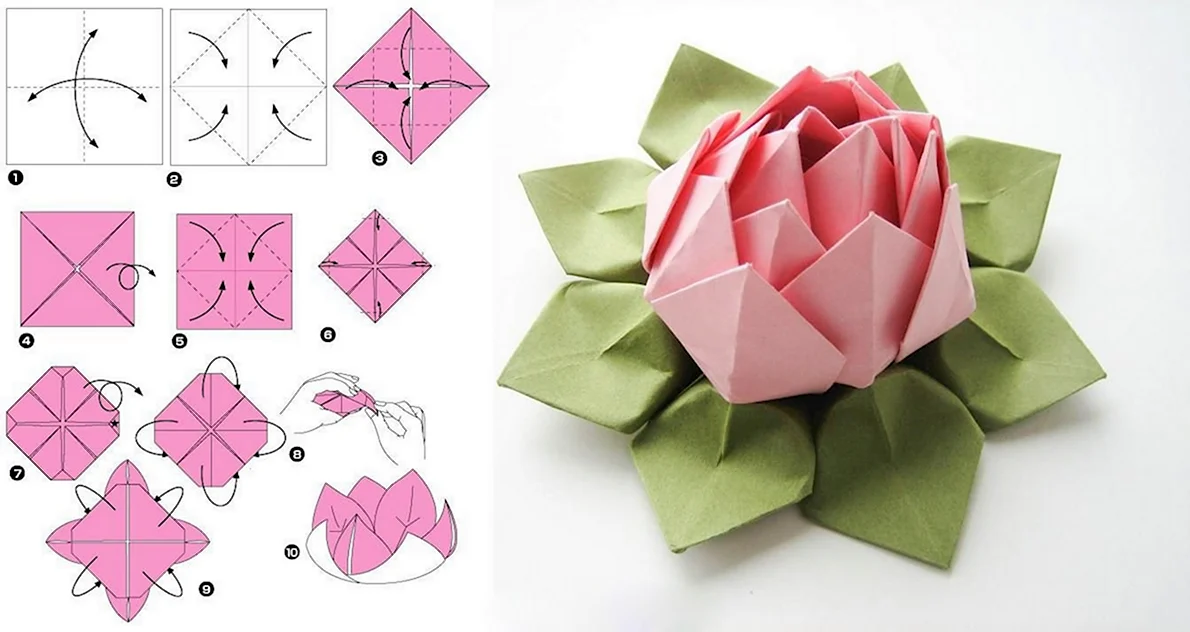 Paper flowers how to make a tulip Paper Paper flowers with ...