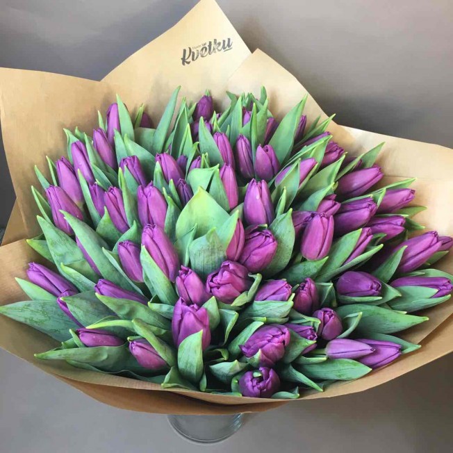 Тюльпан Перпл Валли Tulipa Purple Valli оптом: купить в ...