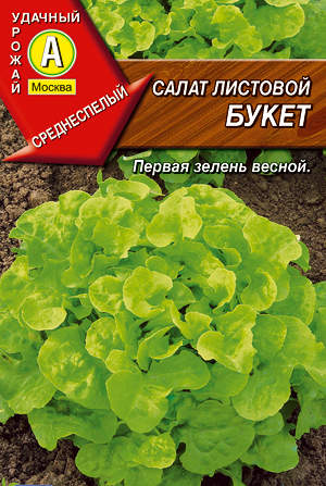 Ирис карликовый Демон (Iris pumila Demon) 2л цена 450 ₽/ед ...