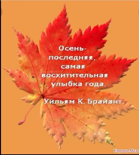 Межпоселенческая централизованная библиотечная система | Новости