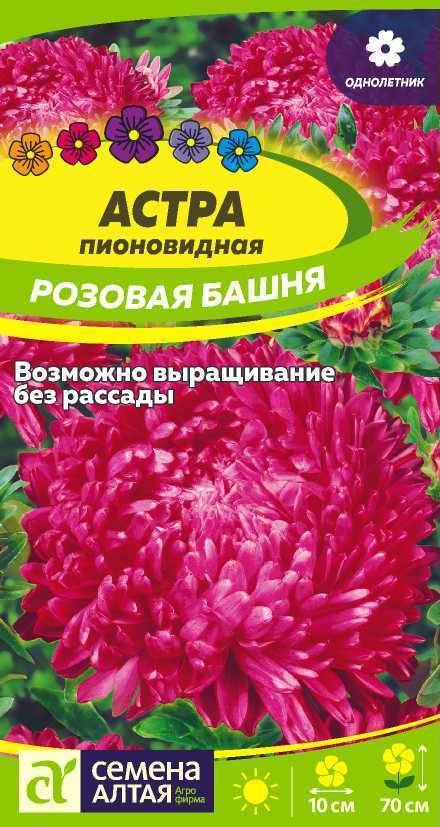 Астра ШАЛЬНАЯ ИМПЕРАТРИЦА НЕЖНО-РОЗОВАЯ. Астра. Семена цветов ...