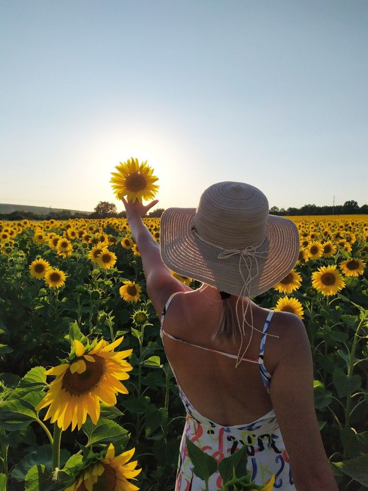 Фотосессия в подсолнухах.🌻 Макияж 💄и... - Фотограф Туймазы ...