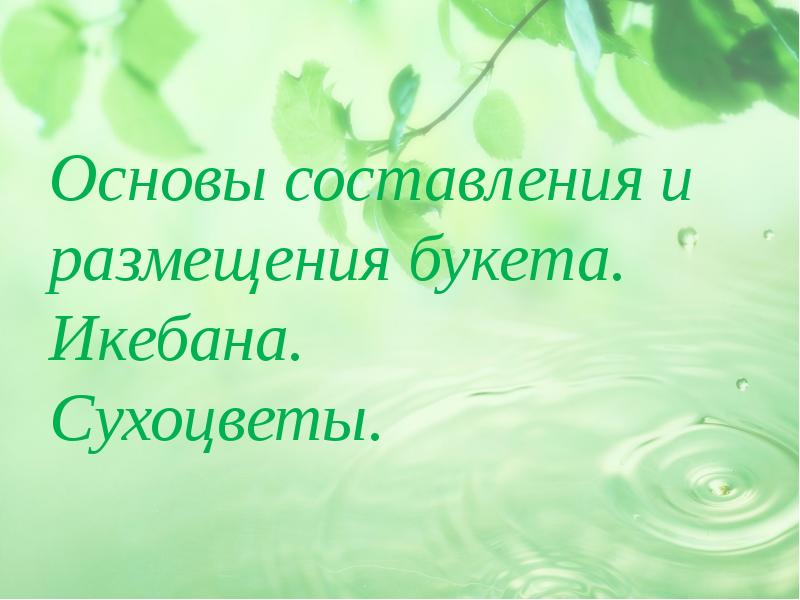 МИНИСТЕРСТВО ПРИРОДНЫХ РЕСУРСОВ И ЭКОЛОГИИ РОССИЙСКОЙ ...