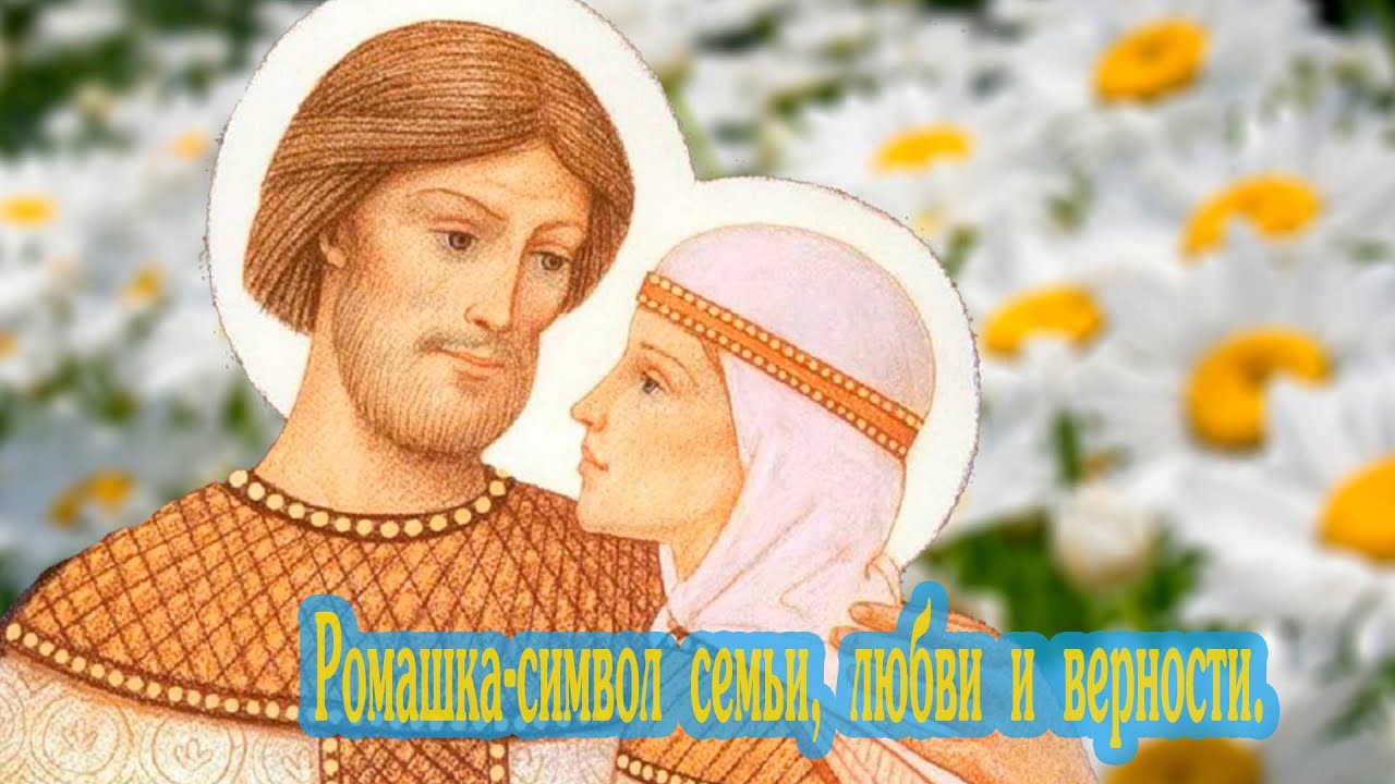 Акция «Ромашка - символ любви»