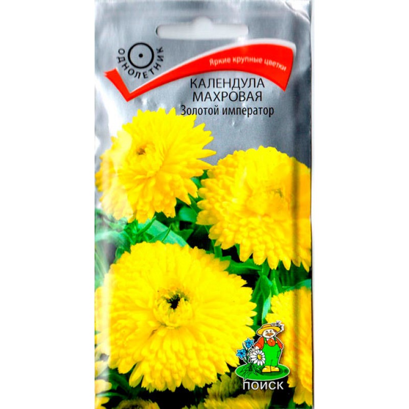 Купить Календула цвет 1 кг Calendula officinalis Herbs ...