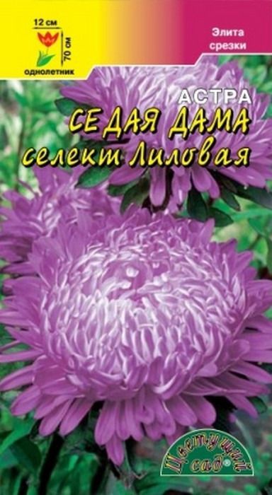 Астра Седая Дама “Гавриш” | Интернет-магазин семян 