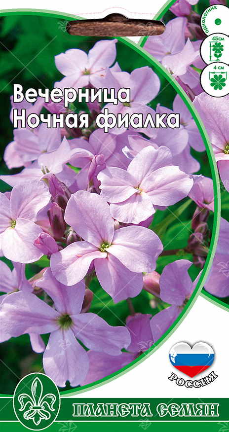 Hesperis matronalis L. — Вечерница женская, ночная фиалка