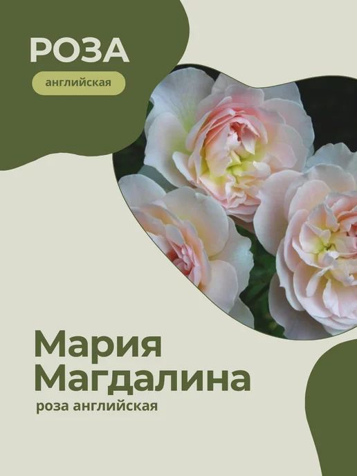 Икона Картина Мария Магдалина Венок Цветы мечь 37х27,5см