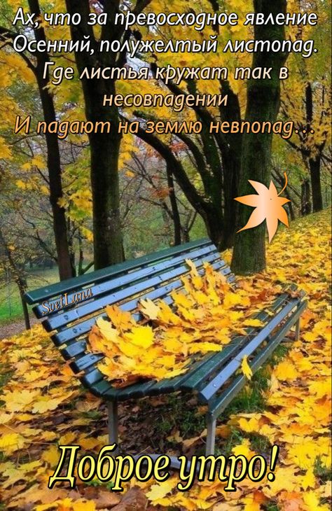 Доброе утро