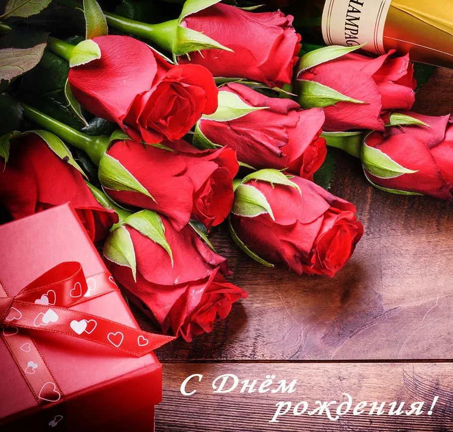 С Днём Рождения! Самое Красивое Поздравление! 🌹Море Цветов и ...