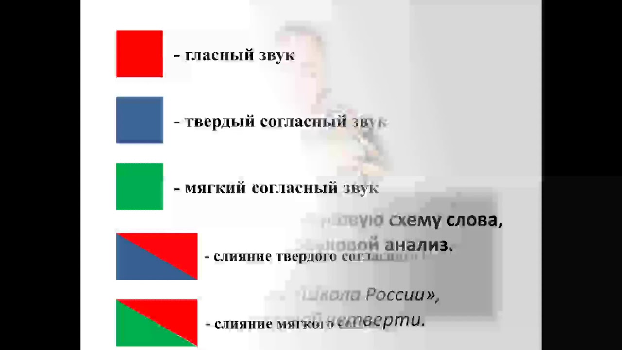 Демонстрационные картинки СУПЕР Цветы садовые. 16 шт. для ...