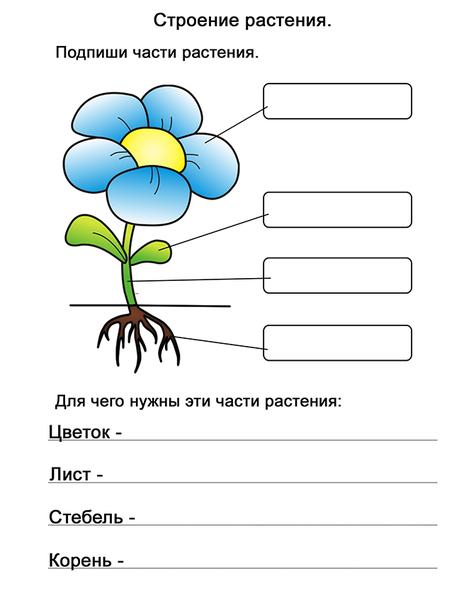 Биология 5 Конспекты 1-3 - Частная ...