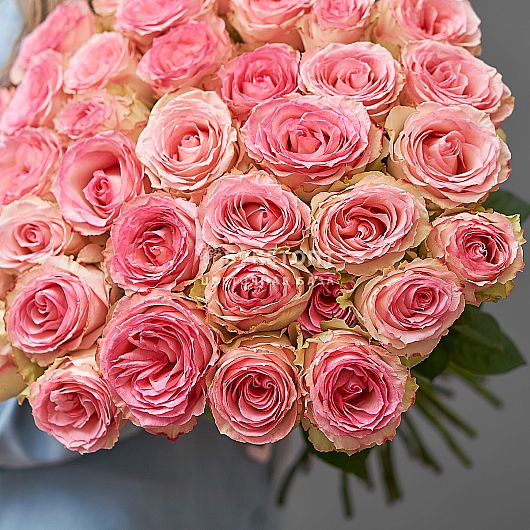 Rio Roses Introduces Two New Yellow Rose Varieties | Florists ...