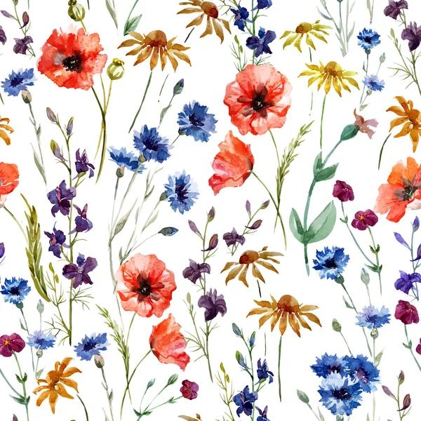 Полевые цветы рисунок акварелью Wild flowers watercolor drawing