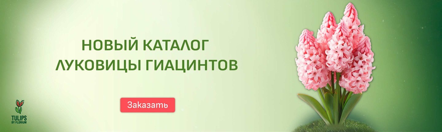 Интернет магазин «Славянский Цветок» 🌳 Питомники.info