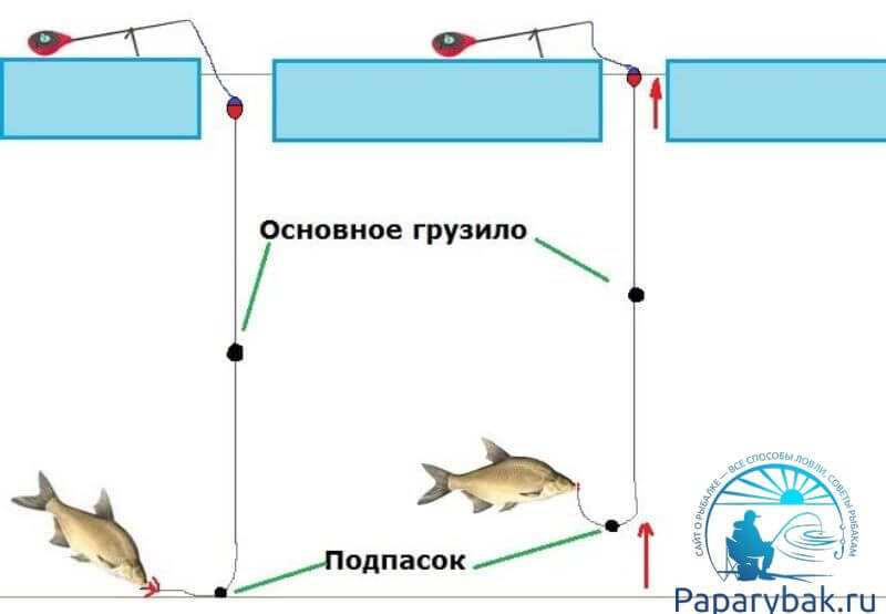 зимний поплавок цветок с раскрывающимися лепестками из ...