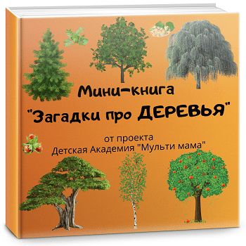 Загадки про цветы | KidsClever.ru