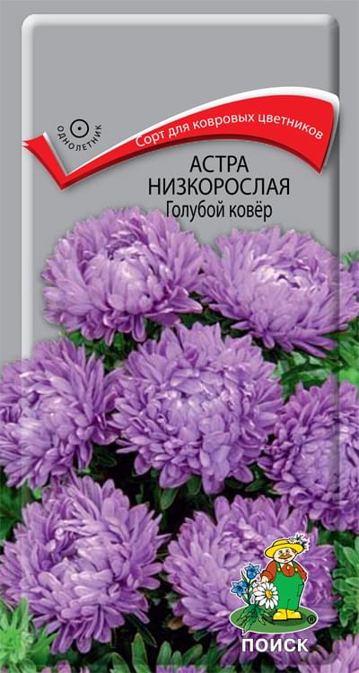 Купить Астра Голубой ковёр низкорослая однолетник 0,2гр ...