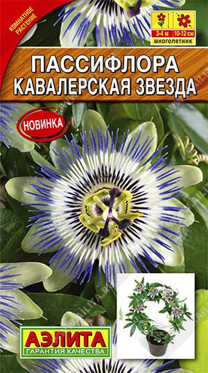 passiflora) h1 ...