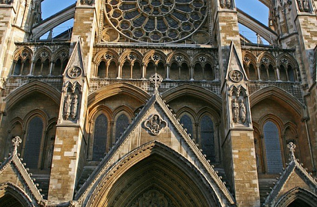 Westminster Abbey! - Энциклопедия роз