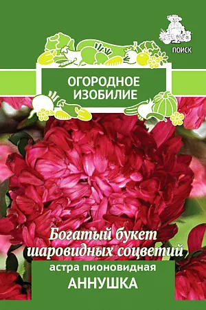 Купить Семена Астра пионовидная Абрикосовая башня (упак-50 гр ...