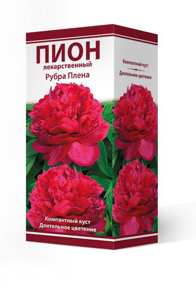 Paeonia Tenuifolia Rubra Plena (double) Пион Тонколистный ...