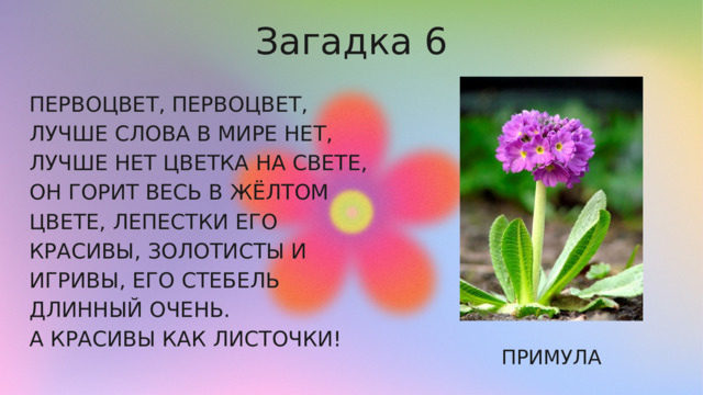 67 загадок про цветы c ответами