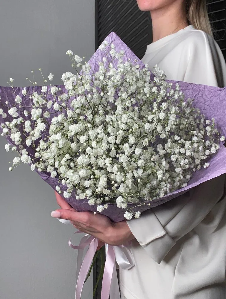 Gypsophila paniculata `Rosenschleier ...