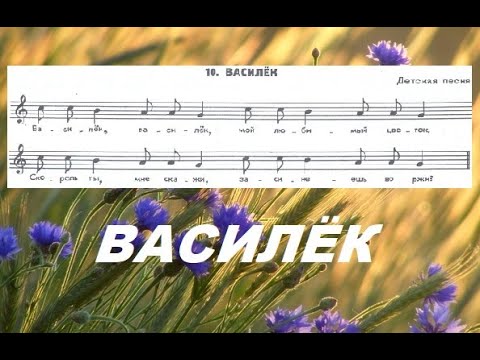 Ревнивый цветок - синий василёк (Тамара Макеева -Пахистахис ...