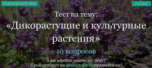 Сборник упражнений для тематической проверки ЗУНов учащихся в ...