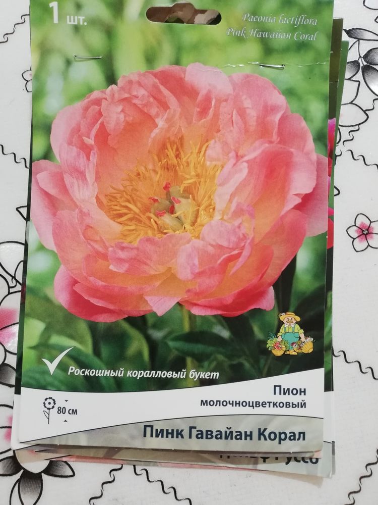 Paeonia Pink Hawaiian Coral) 7.5 ...