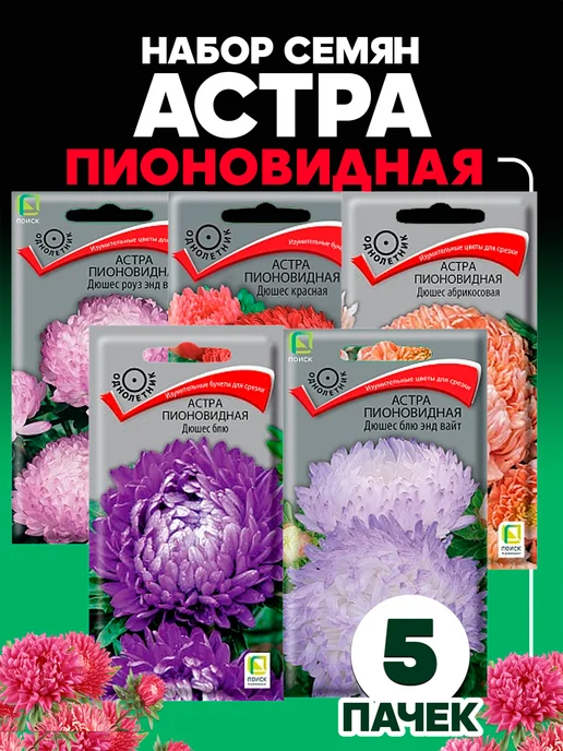 Купить Поиск астра Аннушка в Алматы – Магазин на Kaspi.kz