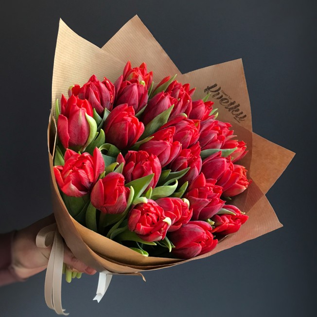 Tulipa 'Red Princess' | Official site ...