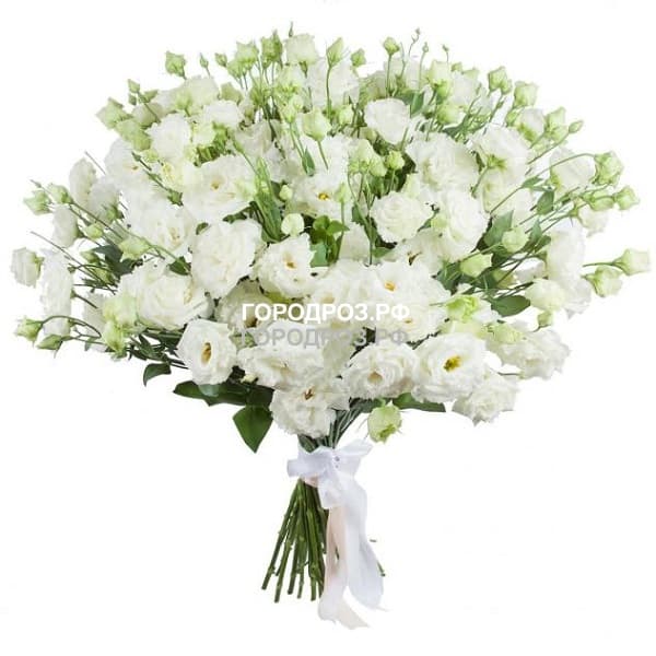 Eustoma Wedding White – Green Florist