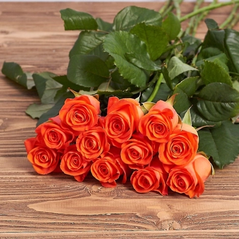 WOW a Orange rose from Ecuador